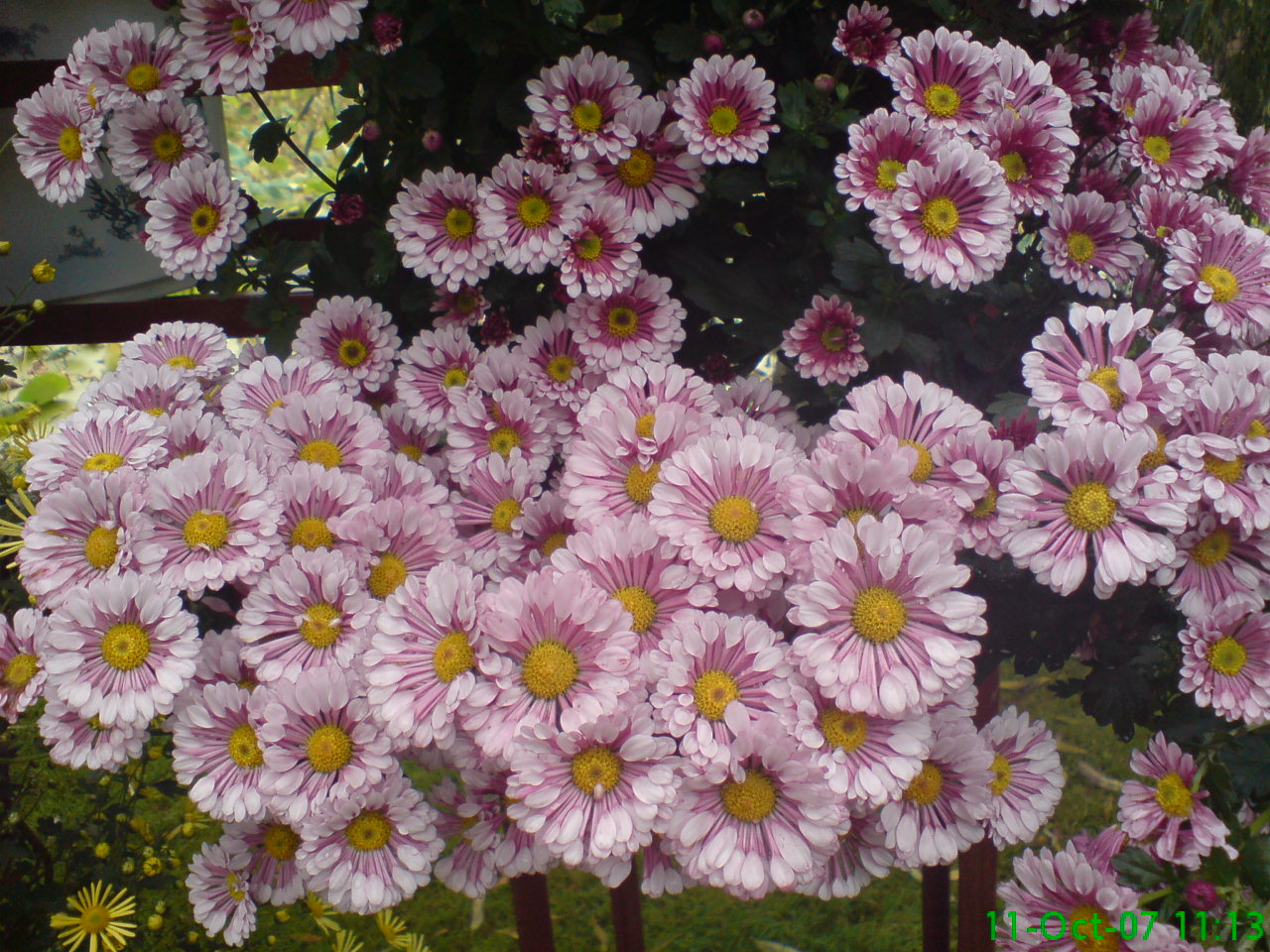 DSC00622.JPG