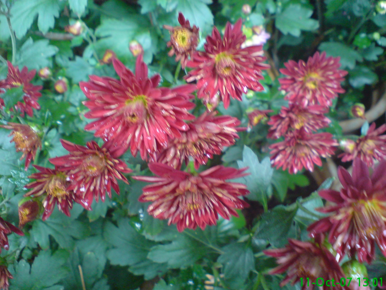 DSC00624.JPG