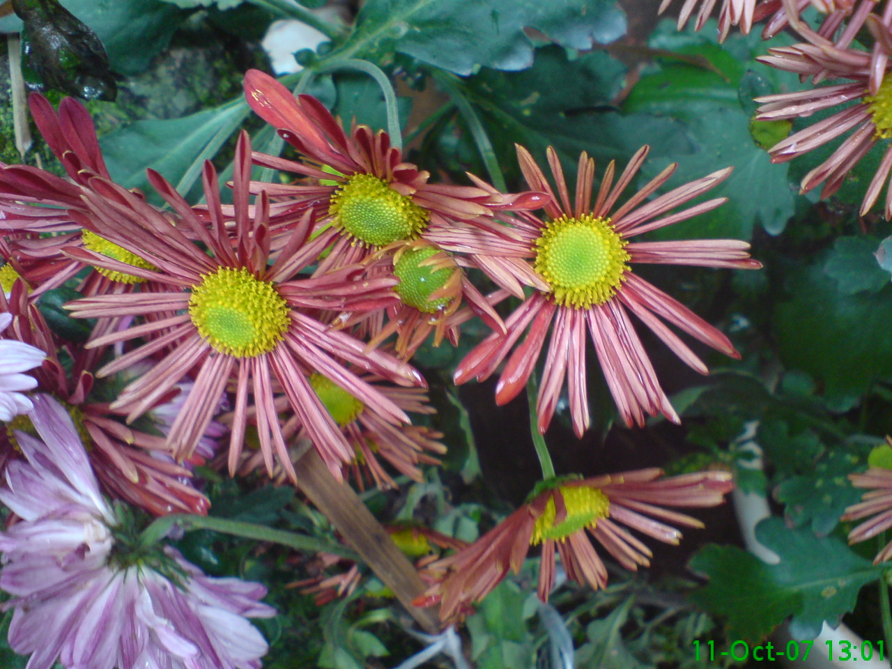 DSC00625.JPG