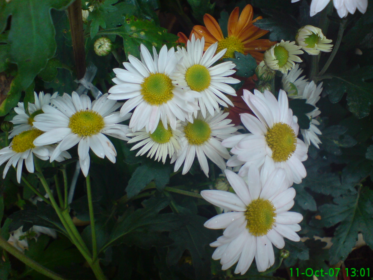 DSC00626.JPG