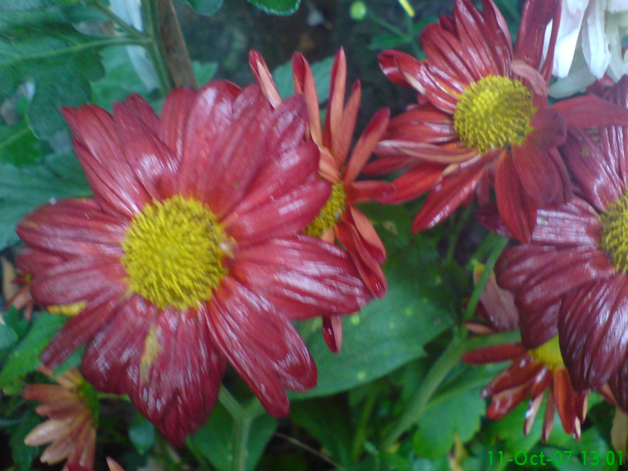 DSC00627.JPG