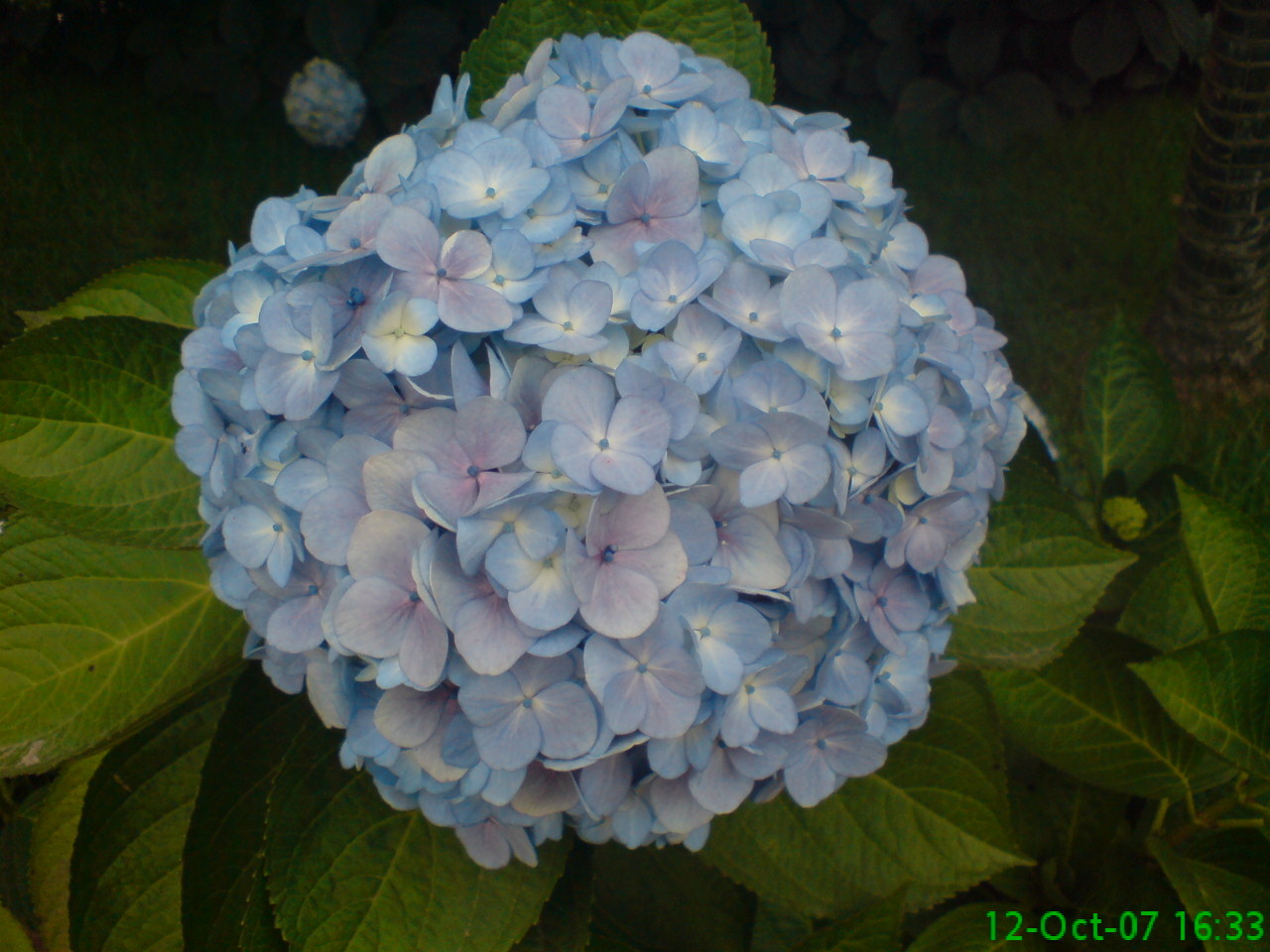 DSC00656.JPG