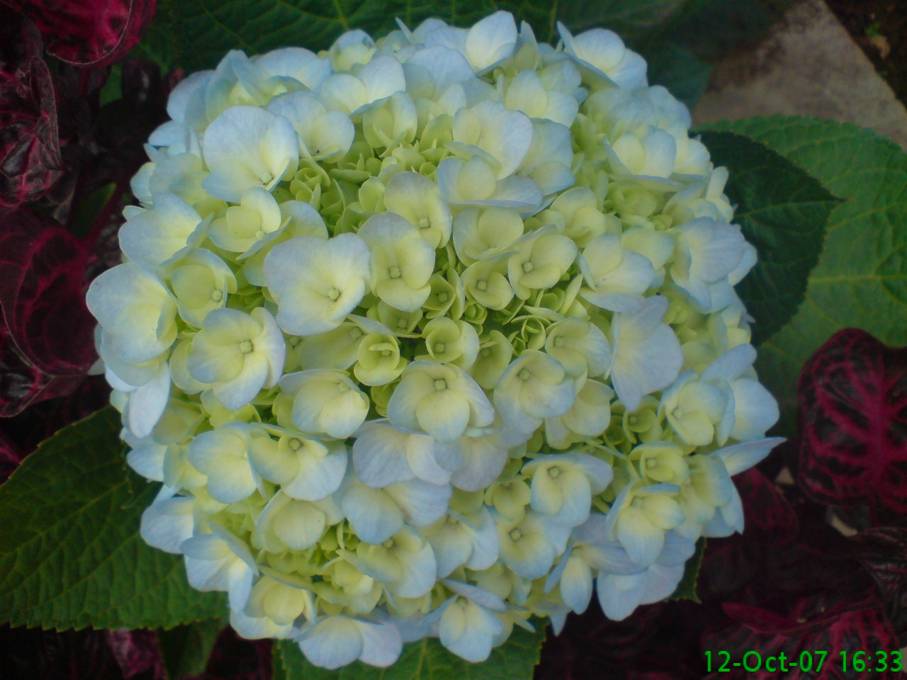 DSC00657.JPG