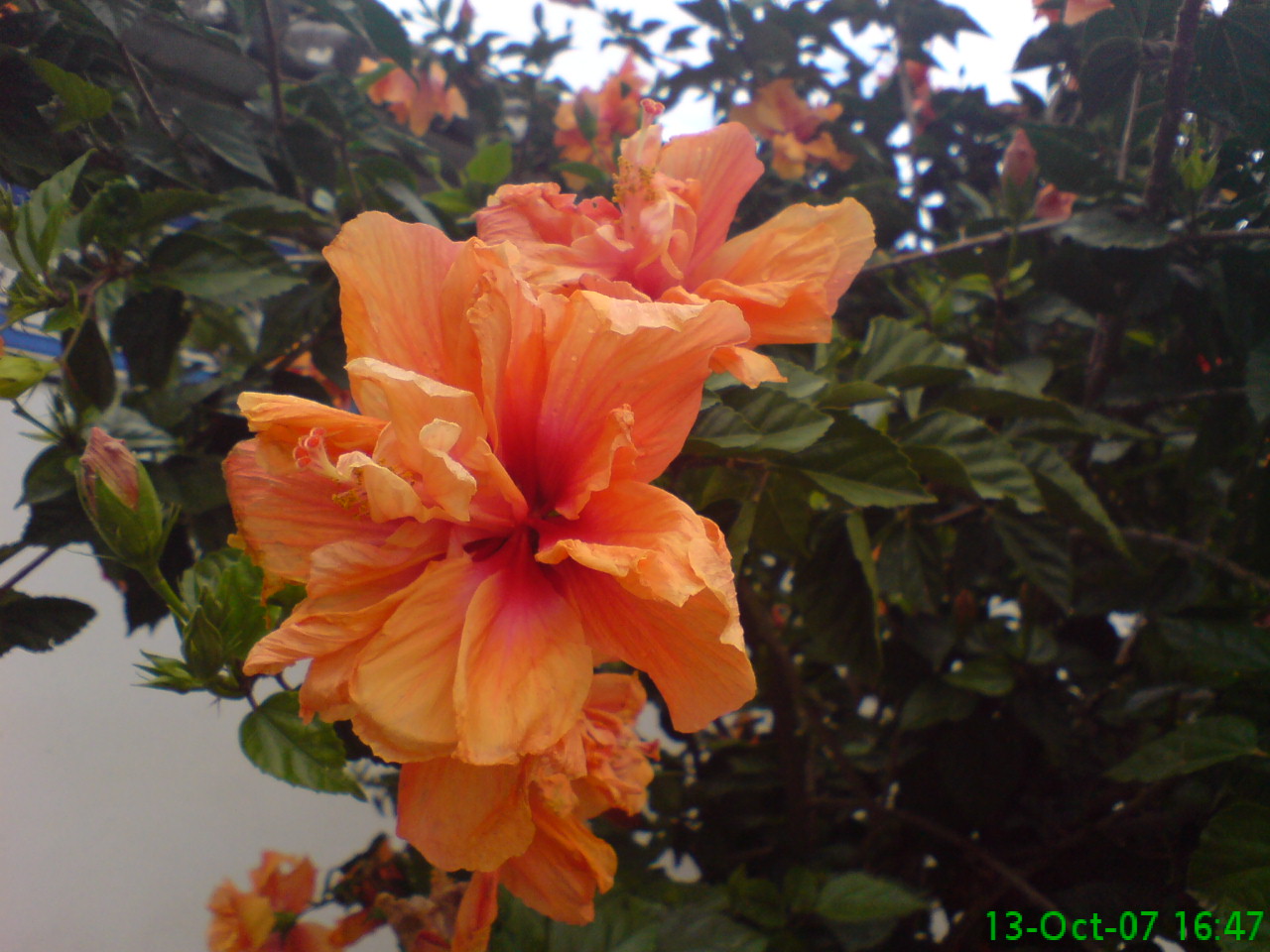 DSC00704.JPG