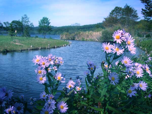 DSCF1267.jpg