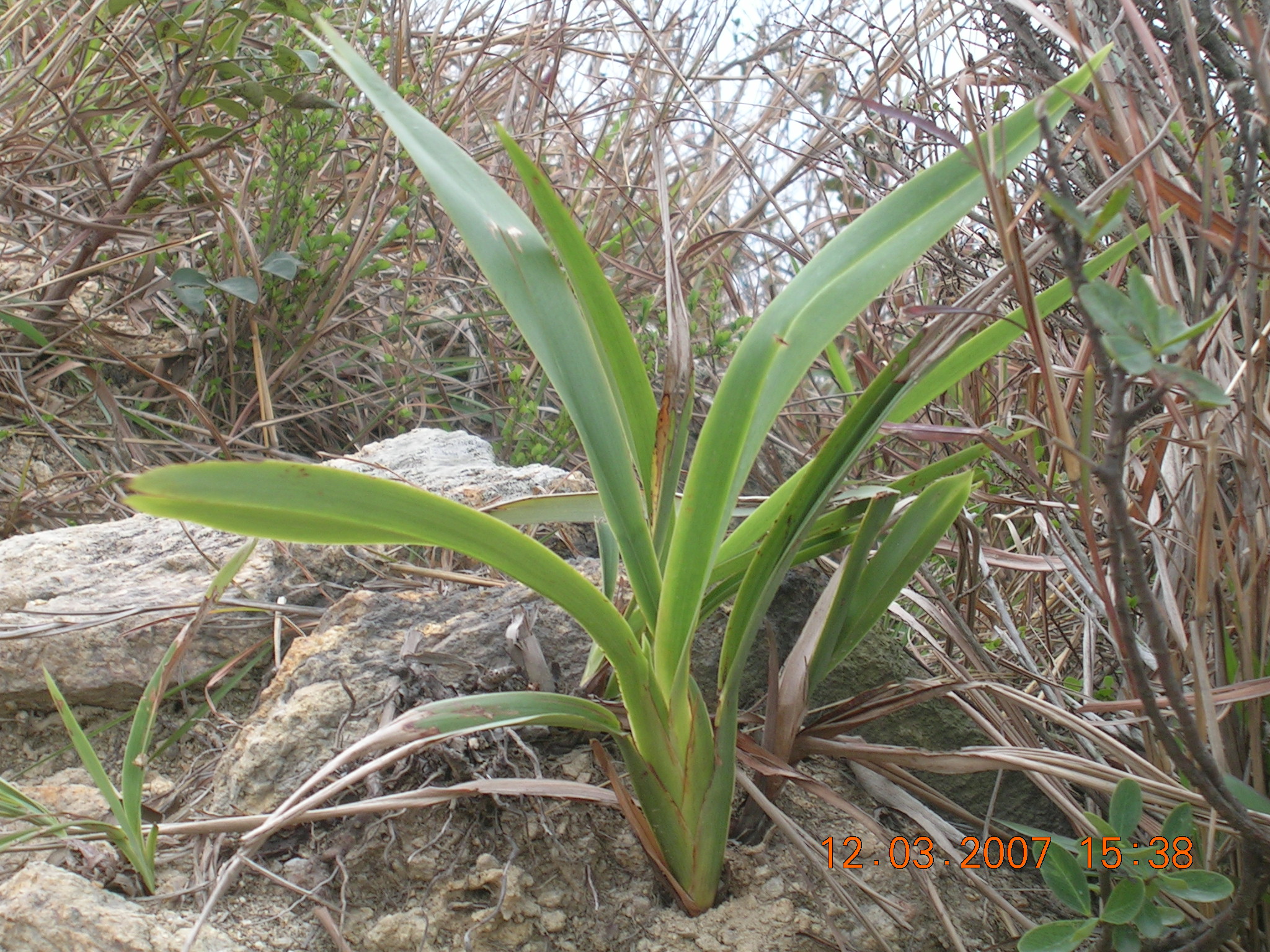 DSCN3658.JPG