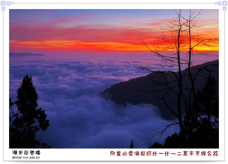 DSC_3709.jpg