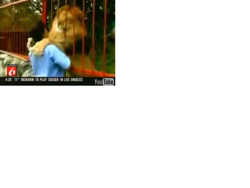Lion3.JPG