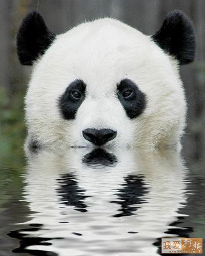 3這裡水大.jpg
