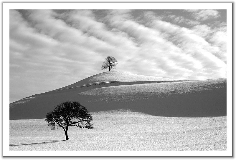 001-1 (14).jpg