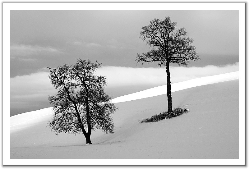 001-1 (19).jpg