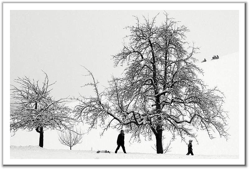 001-1 (1).jpg