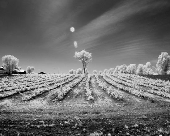 001-1 (32).jpg