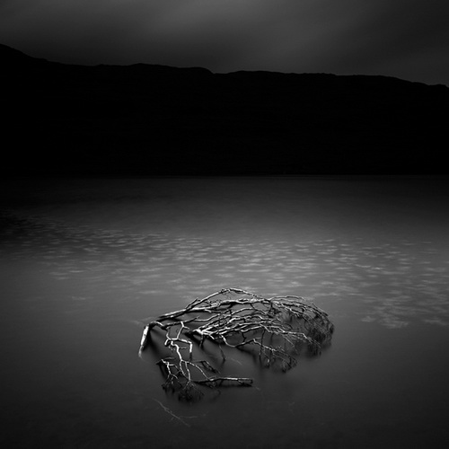 001-1 (47).jpg