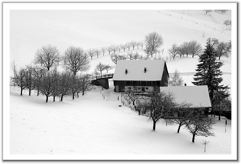 001-1 (5).jpg