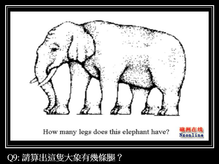 01-1 (11).JPG