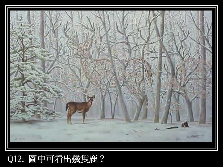 01-1 (14).JPG