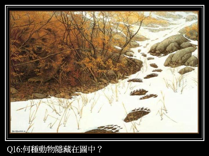 01-1 (18).JPG