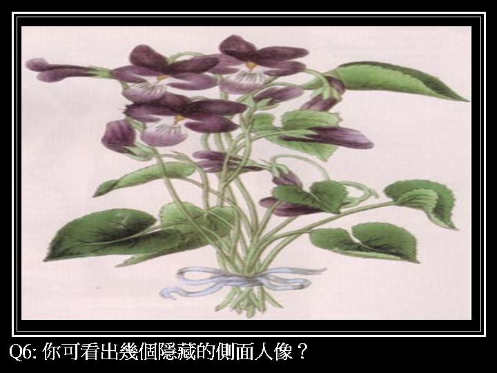 01-1 (25).JPG