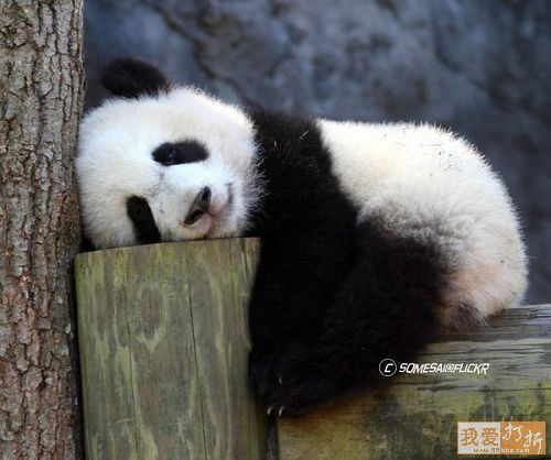 13希望一會兒起來後不會又是一臉字.jpg