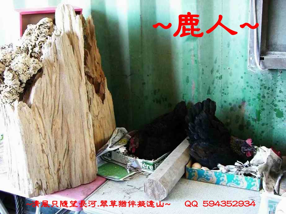 1老鹿_看周邊_01.JPG