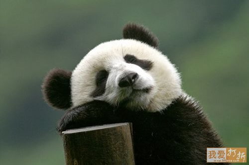 22黑眼圈是不是小點了 最近睡眠老好了.jpg