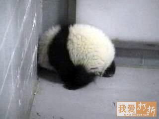24都別理我 煩著呢.jpg