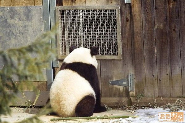 27不就是昨晚喝多了嘛 還真不讓進門了.jpg