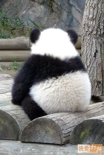 8這就夠給你們面子的了.jpg