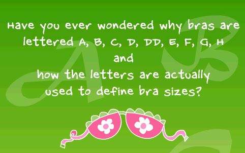ShowLetter.jpg