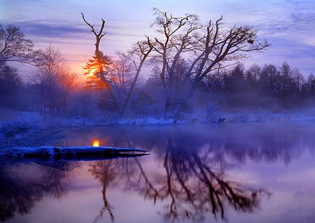 U179P52T4D54750F160DT20040921122723.jpg