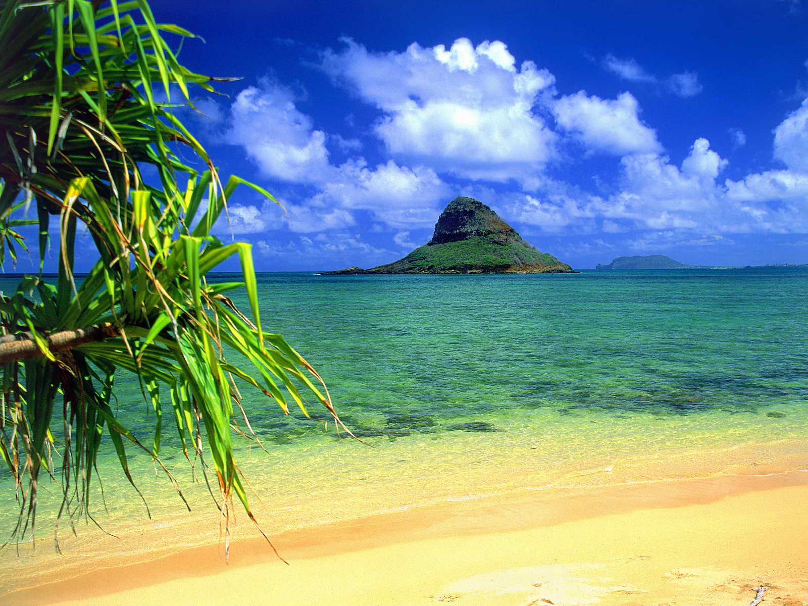 _Hawaii01.jpg