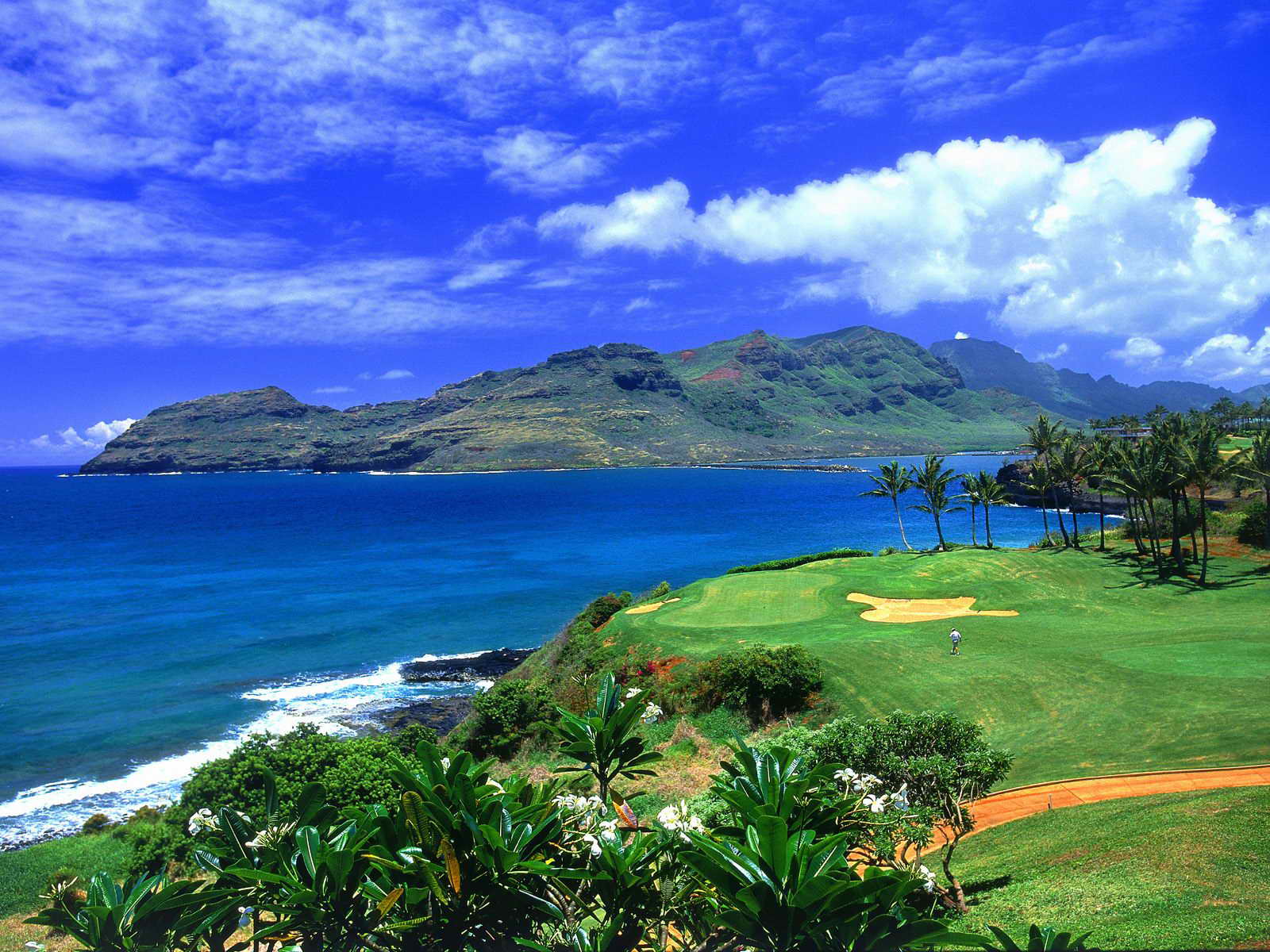 _Hawaii02.jpg