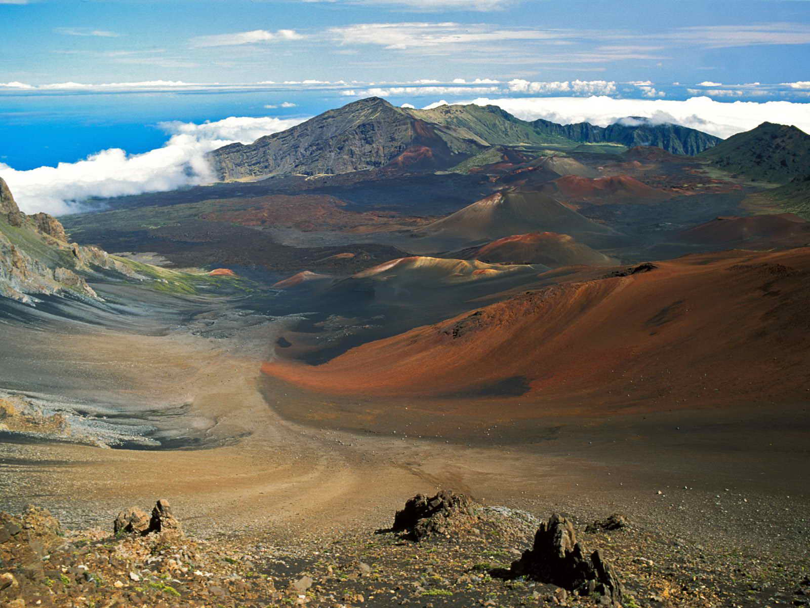 _Hawaii04.jpg