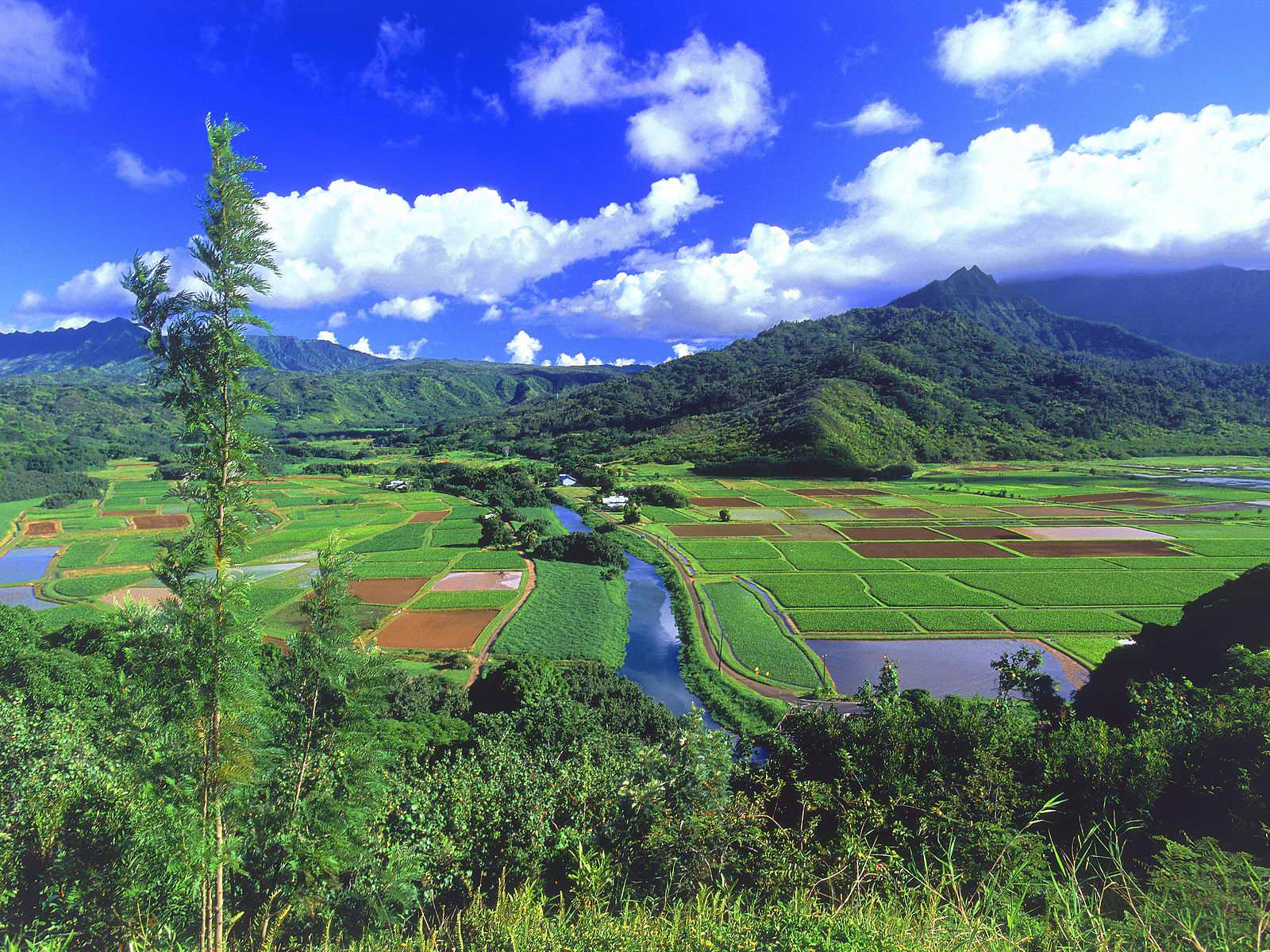 _Hawaii05.jpg