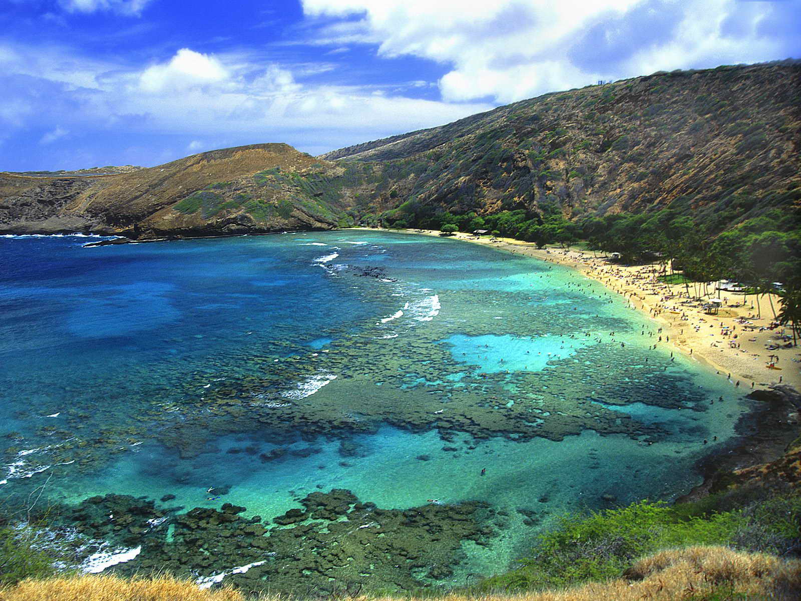 _Hawaii06.jpg