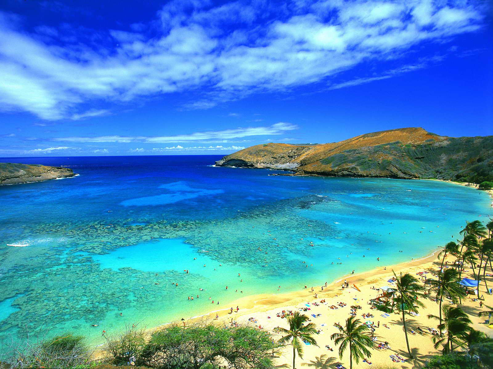 _Hawaii07.jpg