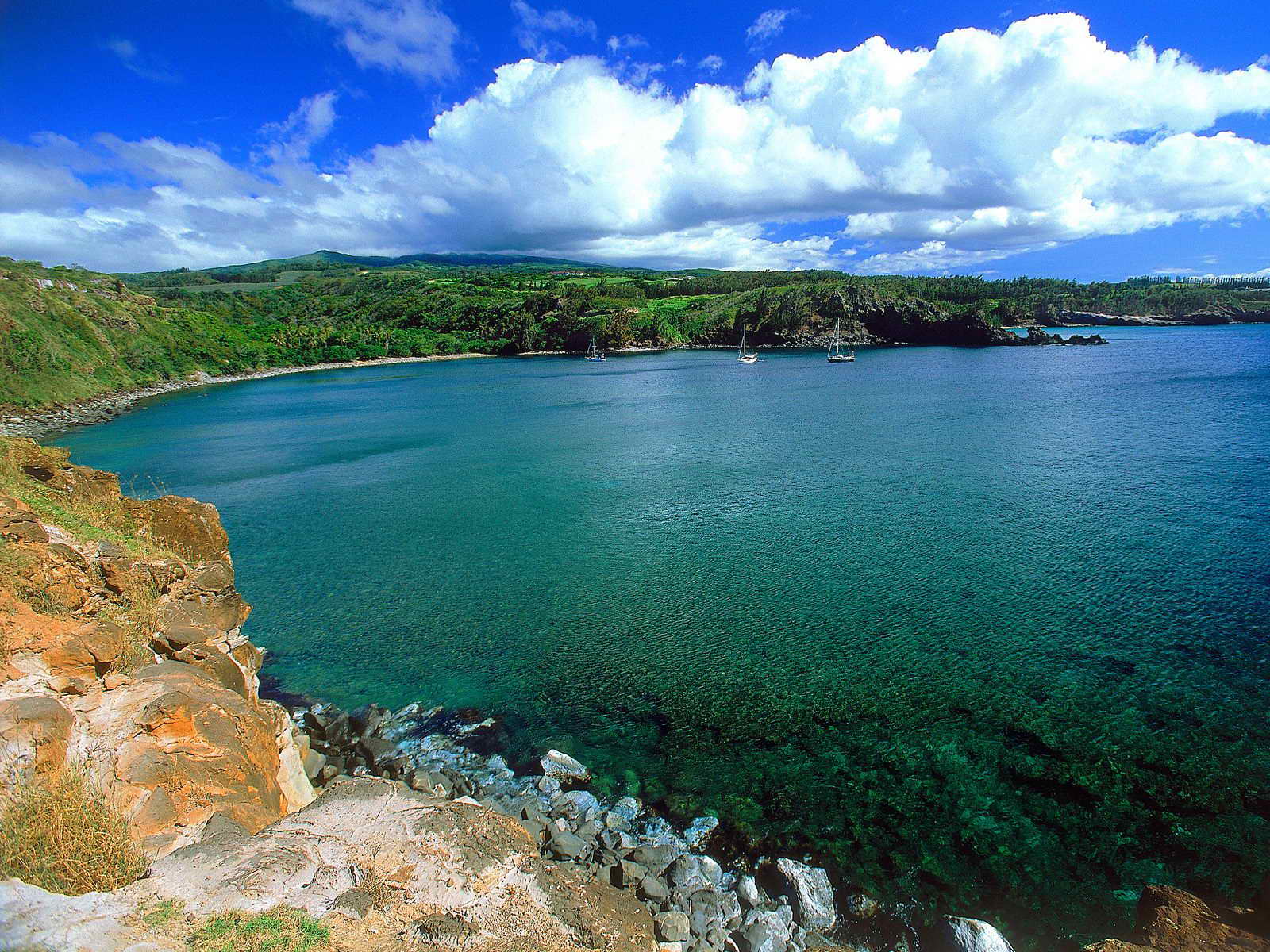 _Hawaii08.jpg