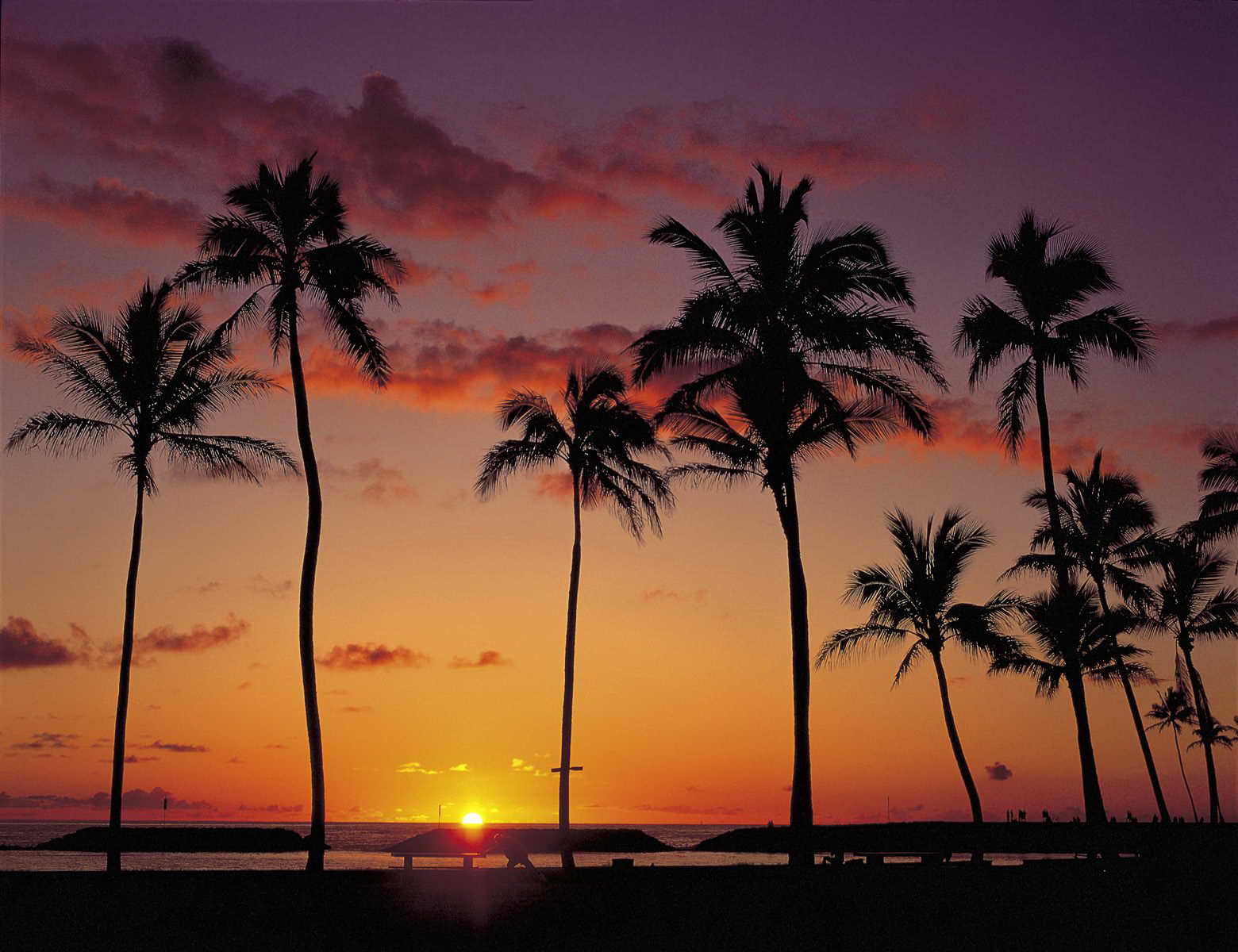 _Hawaii09.jpg