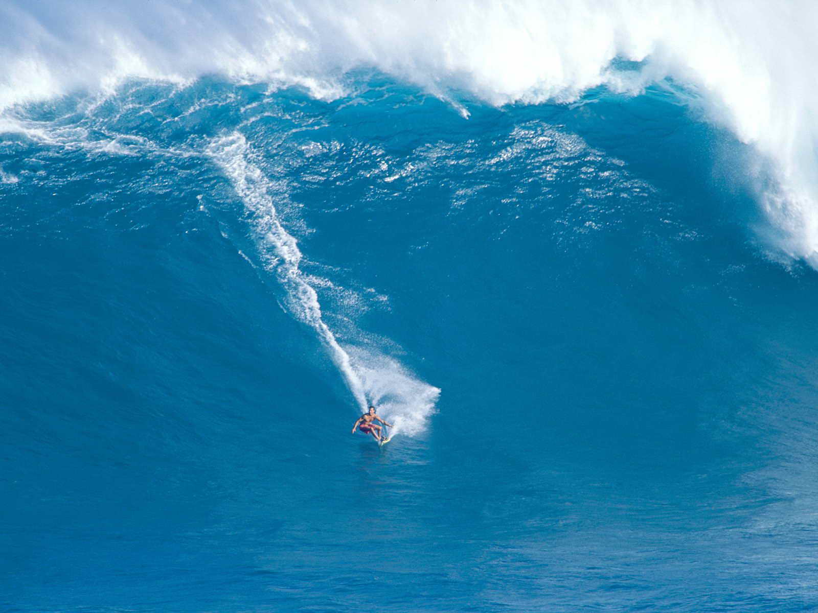 _Hawaii10.jpg