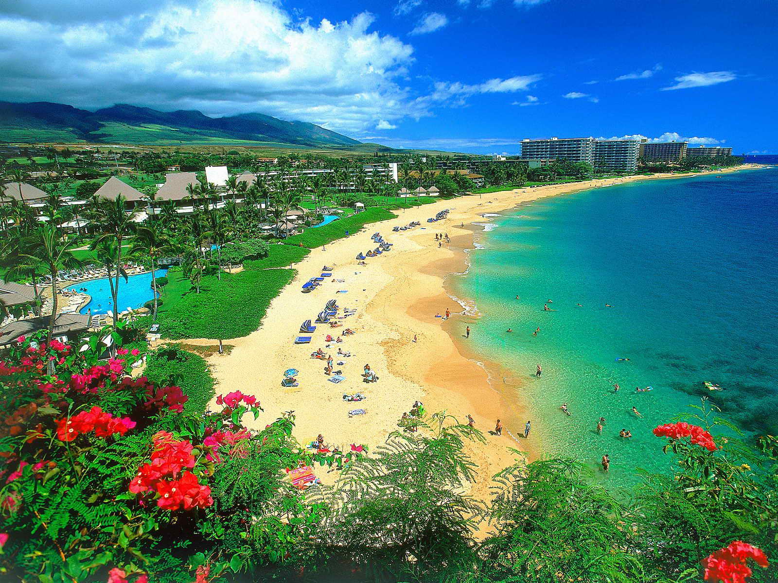 _Hawaii11.jpg