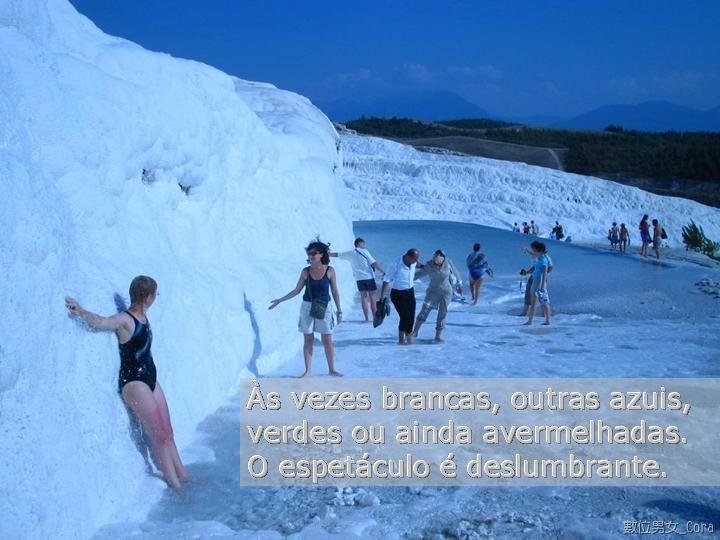 a01.jpg