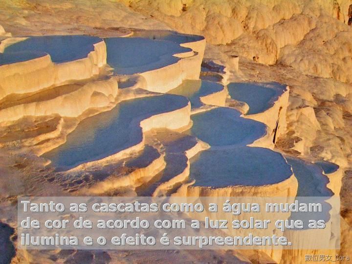 a02.jpg