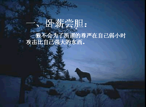 aa2.gif