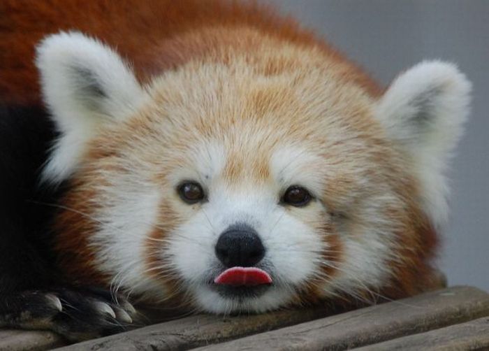 acid_picdump_124.jpg