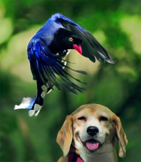 acid_picdump_1dz11.jpg