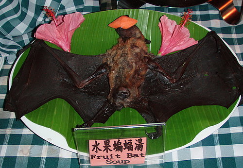 bat.jpg