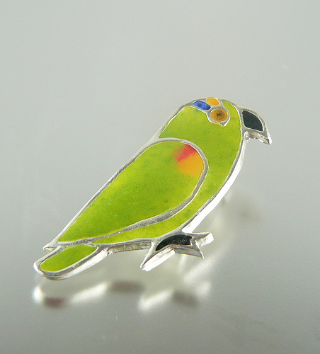 bird6.jpg