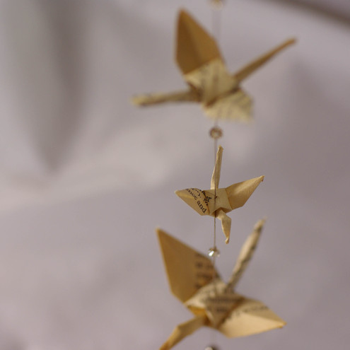 crane3.jpg