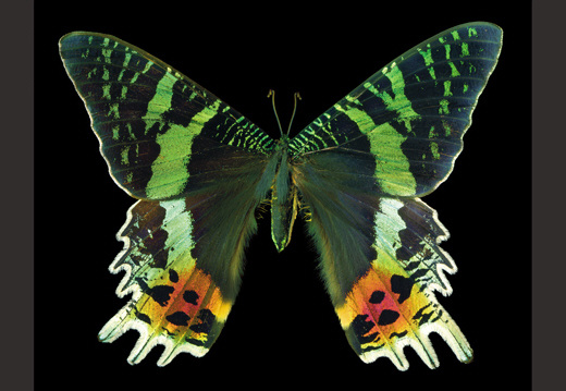 d5.jpg